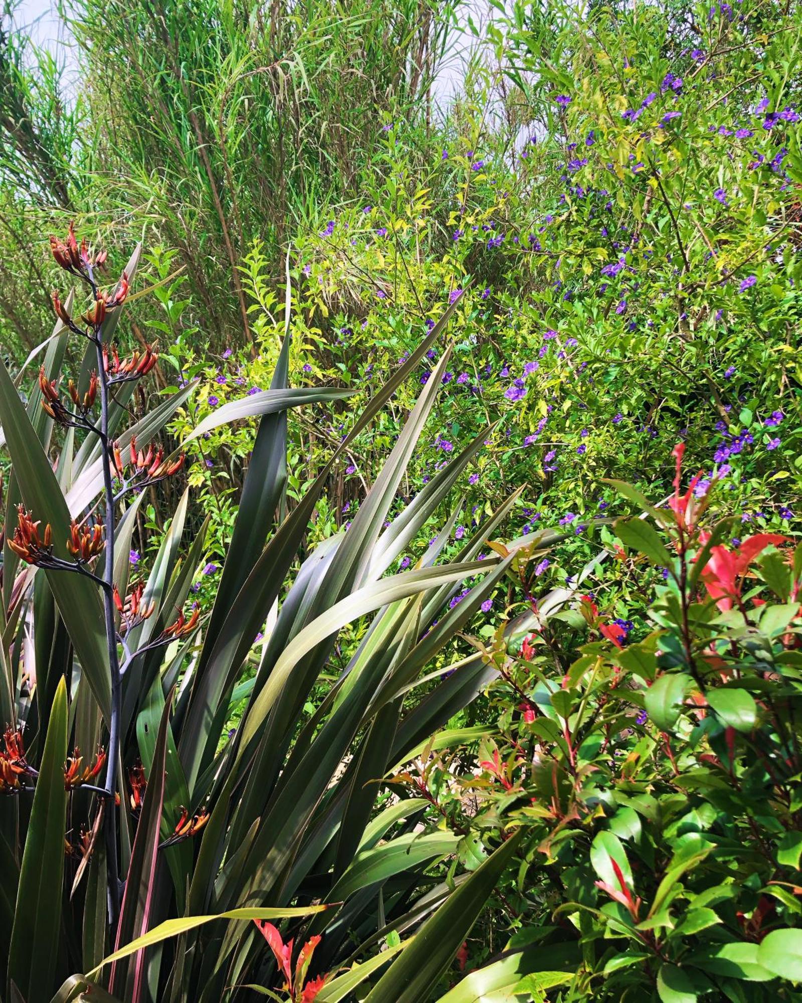 Le Jardin Des Portes Bed and Breakfast Les Portes-en-Re Buitenkant foto